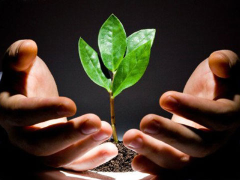 京海归创业项目(创业投资的海归创投)