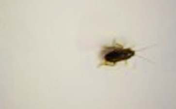 日照创业项目(山东日照启动残疾人自主创业工程)