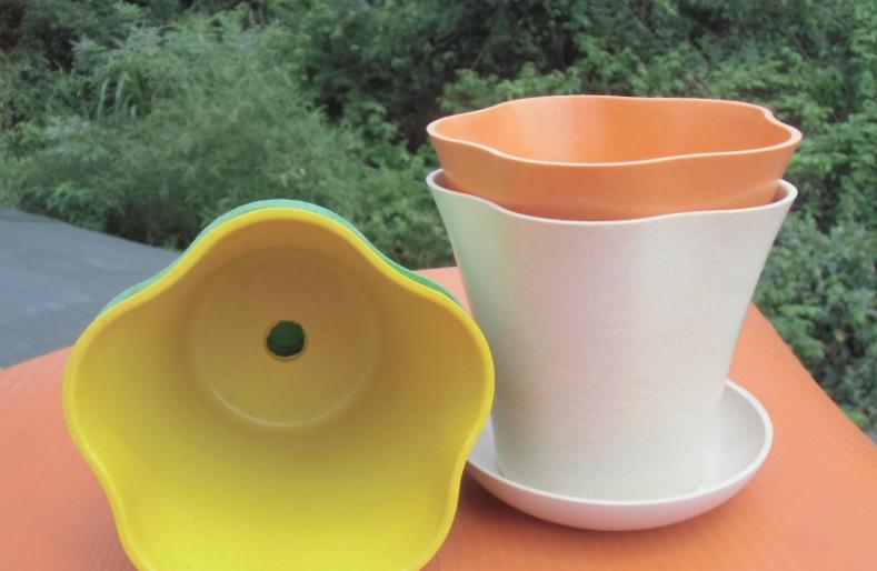 海南私宅创业项目(手上有七万元，想去海南创业做什么项目好？)