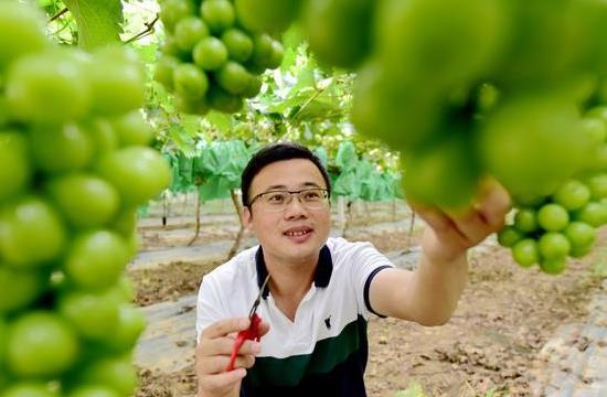 河南引入创业项目(河南22条措施吸引返乡创业，最高300万，这些措施的具体内容是什么？)