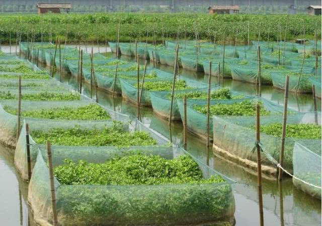 渭南沃土创业项目(在农村除了搞养殖和种植业以外，还有哪些项目可以做？)