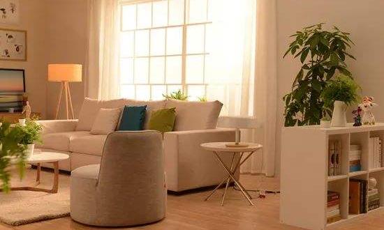 环保类创业项目(环保领域创业？)