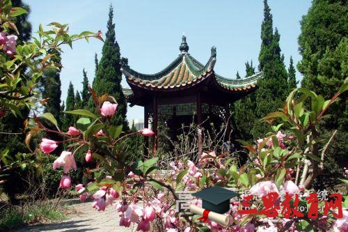 安财创新创业项目(安徽财经大学怎么样)