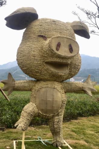 怀化创业项目(请问在湖南怀化种植什么经济作物比较好？)