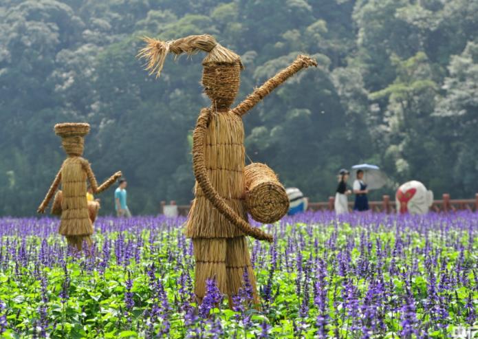 怀化创业项目(请问在湖南怀化种植什么经济作物比较好？)