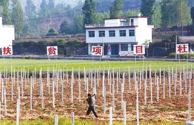 金融扶贫创业项目(金融扶贫基本特征是什么？)