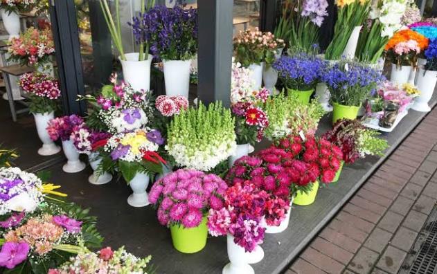 女性小本创业项目(女性小本创业做什么好)