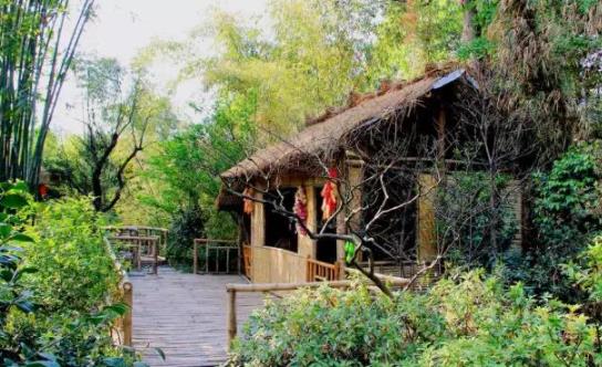 农药创业项目(绿色环保的农业创业项目)