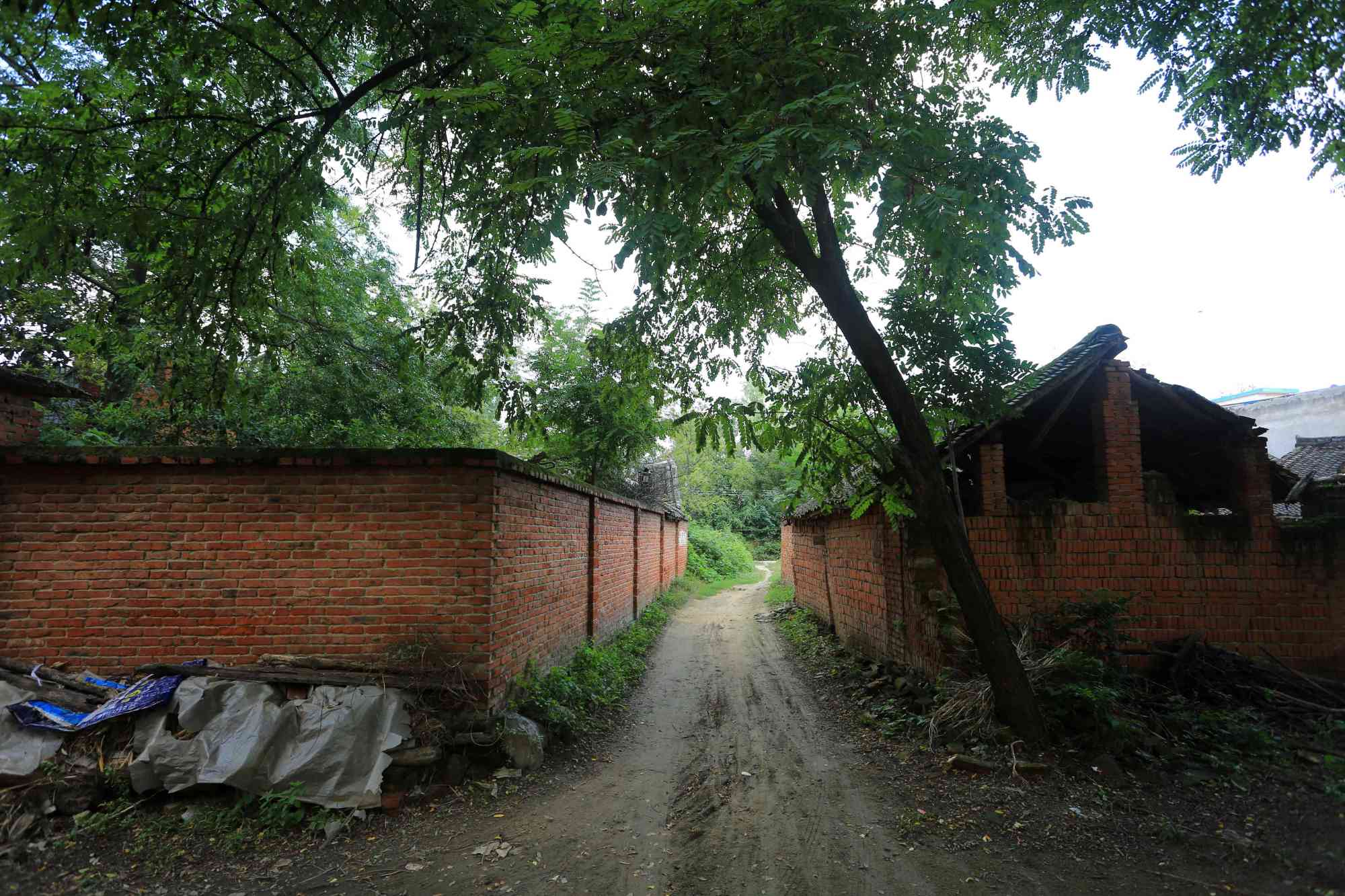 房地产创业项目(房地产项目创业计划书示例)