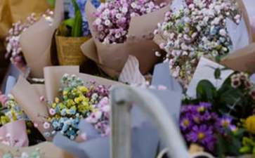 株洲大学创业项目(灯饰创业计划书)