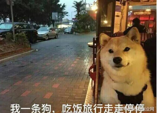 房顶创业项目(自己做点小生意，现在弟弟也做，可是他把价格压低？)