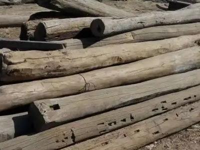 收木头创业项目(有人专门去农村收购旧木头，他们拿旧木头在做什么？)