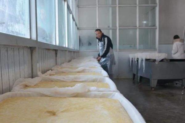 2022创业项目照片(2022必火的创业项目有哪些？)