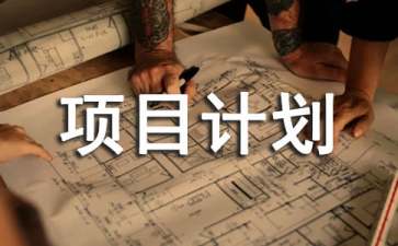 公司战略创业项目(创业计划书公司战略怎么写)