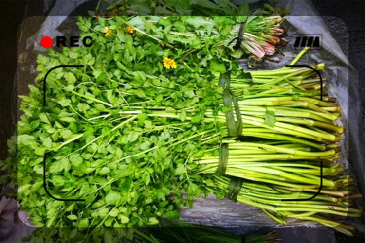 江湖号创业项目(你跑江湖卖什么呀？能说说吗？我是摆地摊的，谢谢了！)