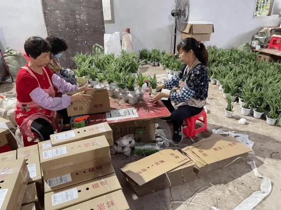 福建团队创业项目(十大新奇的创业项目)