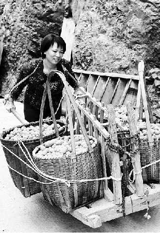 跌落神坛创业项目(8个月市值蒸发超3000亿！“火锅茅”海底捞缘何跌落神坛？)