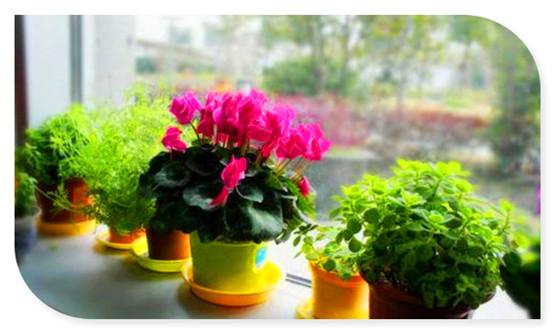 50岁男人创业项目(50岁的男人能找什么工作50岁男人适合工作推荐)