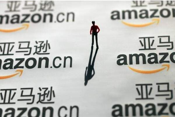 国外亚马逊创业项目(亚马逊电商创业故事？)
