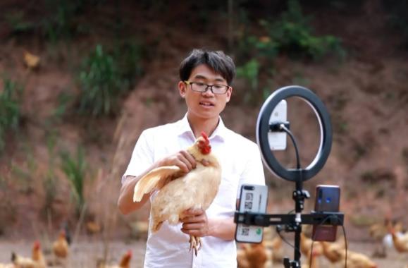 河南创业项目(河南农村创业致富项目)