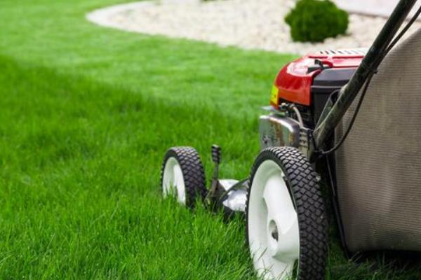 投资办厂创业项目(不愁销路的小工厂项目有哪些)