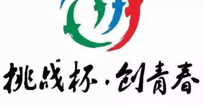 挑战杯创业项目(挑战杯创业计划书)