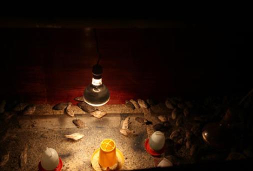 遵义创业项目(在遵义怎么样创业？开个服装店或者饭店需要哪些条件？)