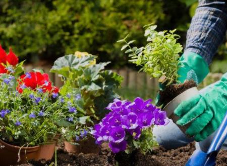 大学生创业项目题目(大学生创业主题怎么选)