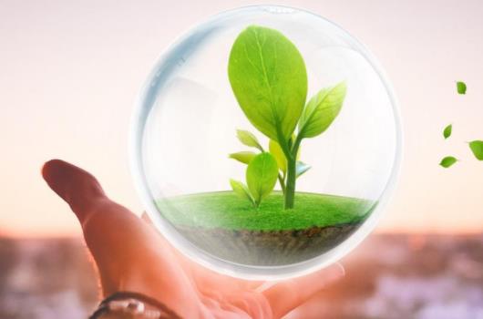 感冒发烧创业项目(当下政策农村最适合创业项目？)