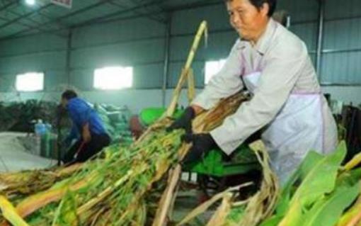 创业项目是企业(创业项目含义是什么？)