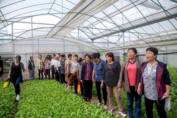 现在农村创业项目(农村有啥致富项目？这6个项目简单又赚钱！)