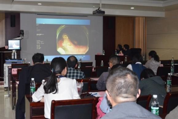 创业项目结题(创新项目结题报告范文3篇)