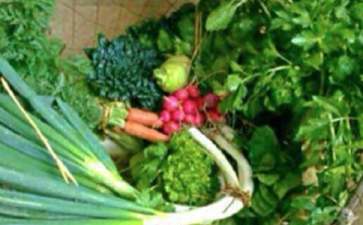 罕见病创业项目(40个冷门的创业项目推荐)