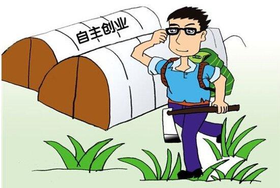 创业项目甄选流程(如何创业 创业的流程)