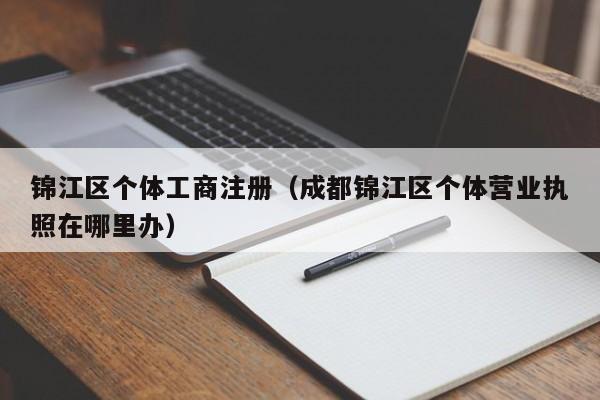锦江区个体工商注册（成都锦江区个体营业执照在哪里办）