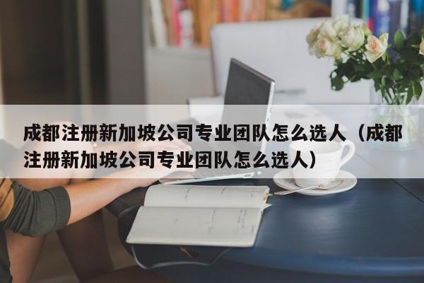 成都注册新加坡公司专业团队怎么选人（成都注册新加坡公司专业团队怎么选人）