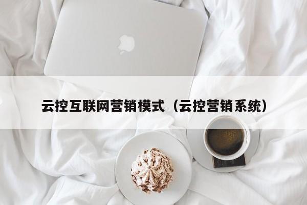 云控互联网营销模式（云控营销系统）