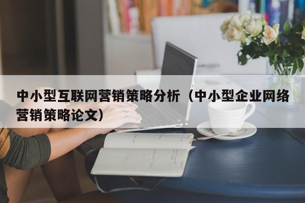 中小型互联网营销策略分析（中小型企业网络营销策略论文）