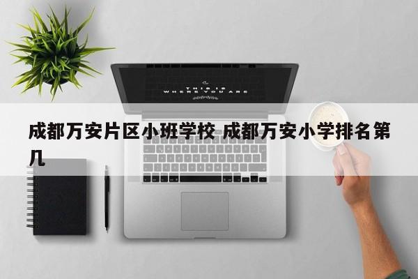 成都万安片区小班学校 成都万安小学排名第几
