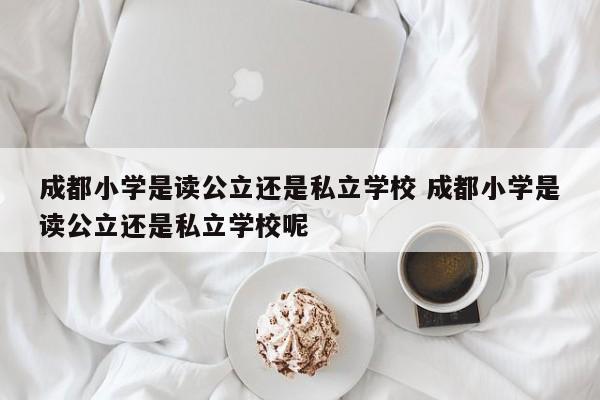 成都小学是读公立还是私立学校 成都小学是读公立还是私立学校呢