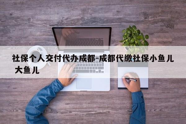 社保个人交付代办成都-成都代缴社保小鱼儿 大鱼儿