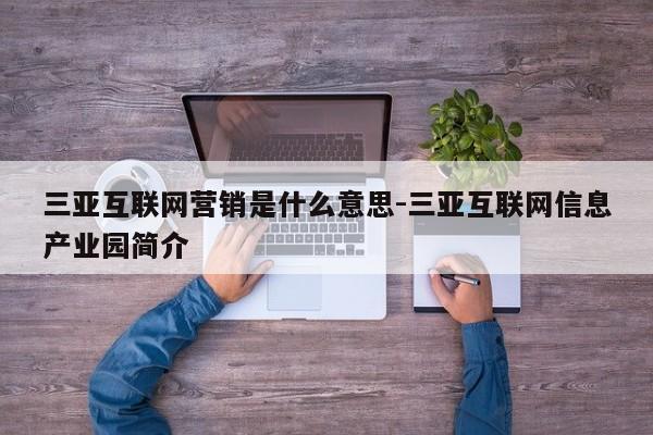 三亚互联网营销是什么意思-三亚互联网信息产业园简介