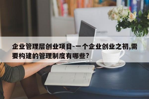 企业管理层创业项目-一个企业创业之初,需要构建的管理制度有哪些?