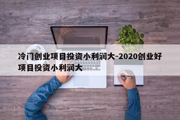 冷门创业项目投资小利润大-2020创业好项目投资小利润大