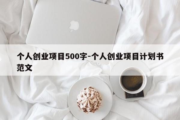 个人创业项目500字-个人创业项目计划书范文