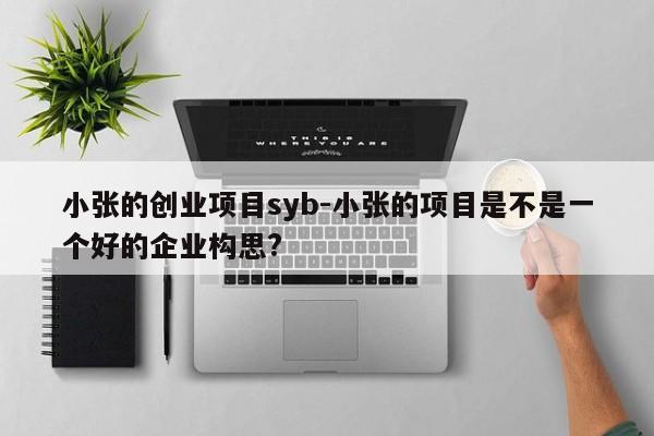 小张的创业项目syb-小张的项目是不是一个好的企业构思?