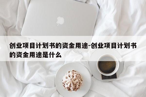 创业项目计划书的资金用途-创业项目计划书的资金用途是什么