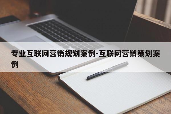 专业互联网营销规划案例-互联网营销策划案例