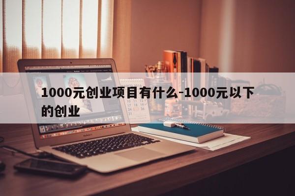 1000元创业项目有什么-1000元以下的创业