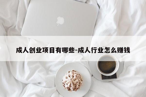 成人创业项目有哪些-成人行业怎么赚钱